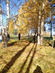 IMG_20211008_112819