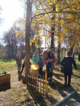 IMG_20211008_113125