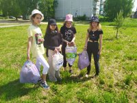 IMG-20220609-WA0022