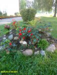 IMG_20190821_081937