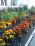 IMG_20190821_082148