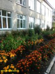 IMG_20190821_082152