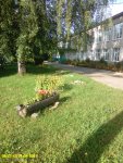 IMG_20190821_082343